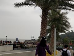 -野狸岛
