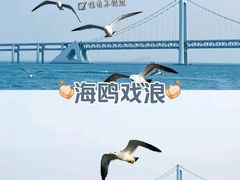 -长岛南北长山旅游景区
