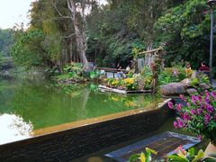 -深圳仙湖植物园-停车场