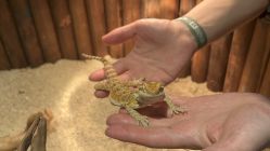 -酷嗒动物文化乐园(cutezoo西溪乐天城店)