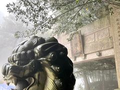 -普陀山风景区-佛顶山