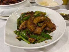 -新蜀会四川豆花(五羊店)