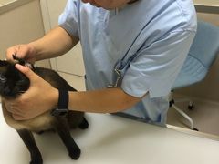 -爱妮康宠物医院·干细胞免疫细胞·肿瘤·心脏(张江店)