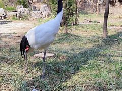 -石家庄市动物园