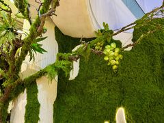 -驻海渔市(置信店)