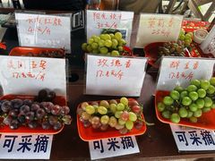 -马陆小张葡萄园农家乐