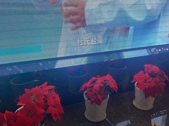 -新盈光·旗舰店(海曙苍松路店)