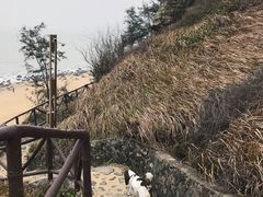 -漳州滨海火山岛自然生态风景区