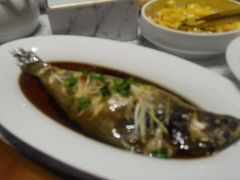 -巴依老爷新疆美食(常营店)