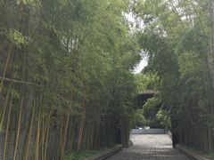 -龙潭水乡