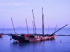 -贡湖湾湿地公园