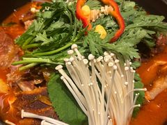 -韩香福脊骨汤锅(上杭路店)