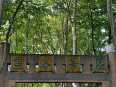 -灵谷景区