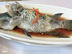 -骏莱海鲜鱼港(五角场店)