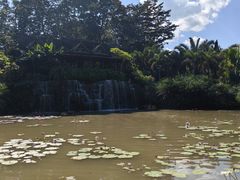 -中国科学院西双版纳热带植物园