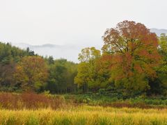 -塔川景区