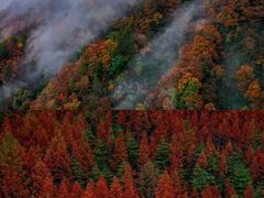 -秦岭风景区