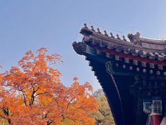 -香山公园