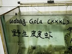 -海盗餐厅