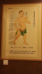 -脉道美容养生会所