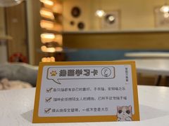 -滚猫咖啡·猫咖·猫友好撸猫(未来城店)