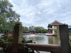 -MAP CHA普洱茶馆(翠湖店)