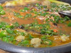 -探鱼·鲜青椒爽麻烤鱼(苏宁广场店)
