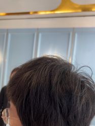 -YESIDO椰岛造型