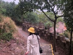 -蛇蟠岛
