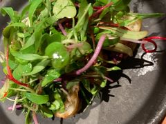 -SHAN山(前滩太古里店)