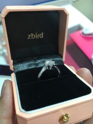 点击看大图 -Zbird钻石小鸟·钻戒婚戒定制高端珠宝私人定制中心