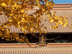 -苏州文庙(姑苏区)