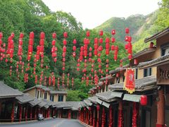 -栾川竹海野生动物园
