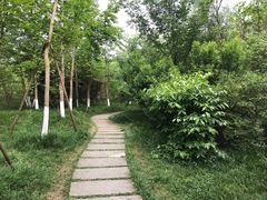 -桤木河湿地公园