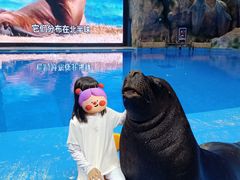 -芜湖新华联大白鲸海洋公园