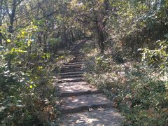 -镇江市南山风景名胜区竹林景区
