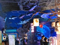 -烟台海昌鲸鲨海洋公园