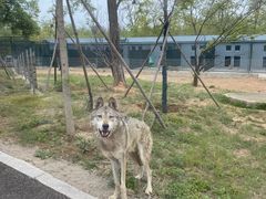 -秦皇岛野生动物园