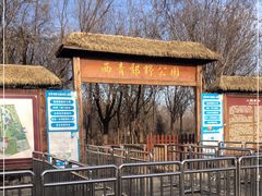 -西青郊野公园