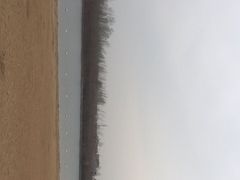 -淇河金沙滩