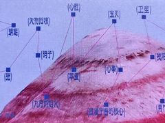 -瓦肆 VAS ear(普陀沪西店)