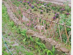 -驿舍·民國老营房院子私房菜(科学会堂店)