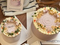 -山与蓝·轻糖鲜果蛋糕(勒泰店)