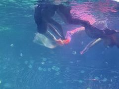 -常州海昌海洋探索馆