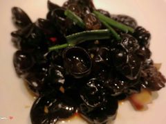 老醋木耳-必点海鲜·鲅鱼水饺(鞍山西道店)