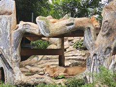 -海南热带野生动植物园