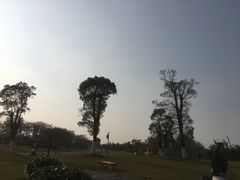 -瑶湖郊野森林公园