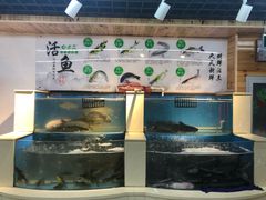 水产区-屯老二农家铁锅炖·行业领军者(梅江店)