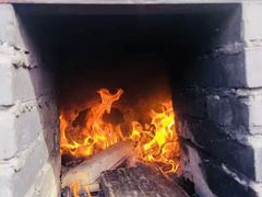 -小六农家乐(崇明西沙湿地店)