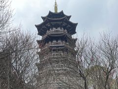 -洋湖国家湿地公园